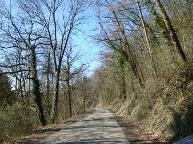 Le Poirier De Warre Villa Durbuy Luaran gambar